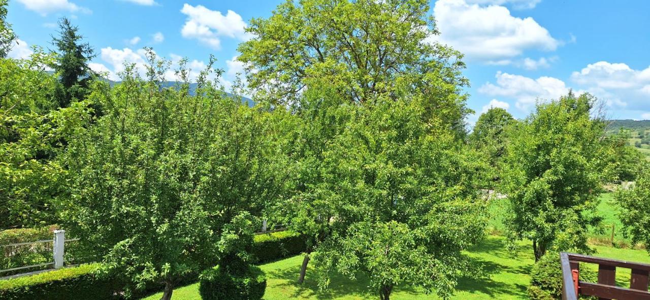 Apartman Marija Brajdic Rakovica Buitenkant foto