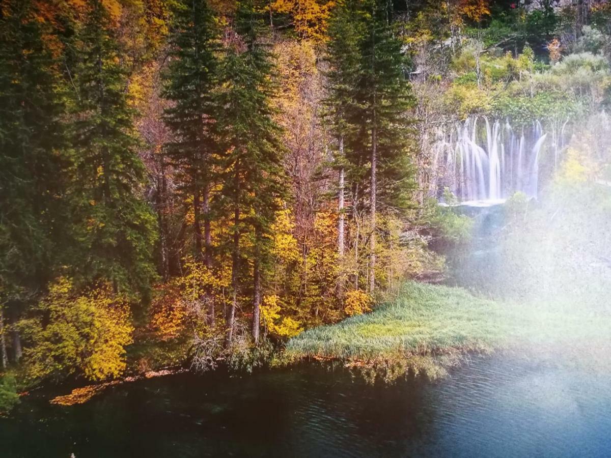 Apartman Marija Brajdic Rakovica Buitenkant foto